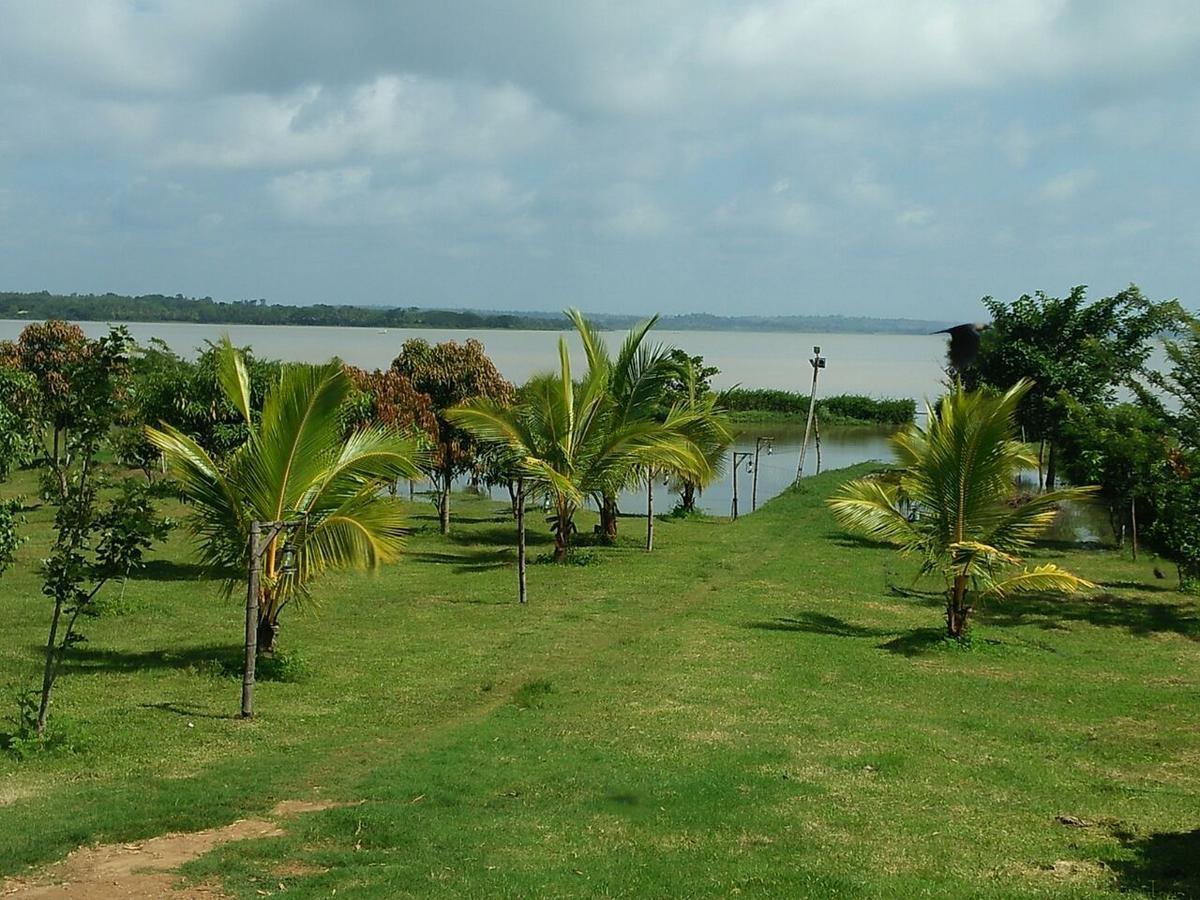 The Peepal Tree, Kabini Begūr Exterior foto